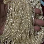 Light weight Cream shade Rice Pearls 4mm Sold By Bunch (10-12 lines)