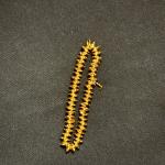 Micro Plated Bead Caps- Size -0,1,2,3,4